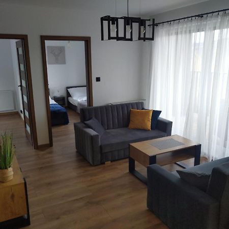 Apartament Zuza W Wisle Вісла Екстер'єр фото