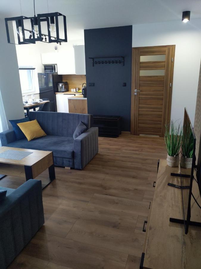 Apartament Zuza W Wisle Вісла Екстер'єр фото