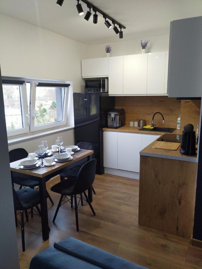 Apartament Zuza W Wisle Вісла Екстер'єр фото